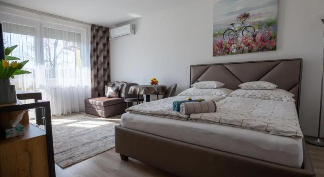 Апартаменты c 1 комнатой Aliz Apartman