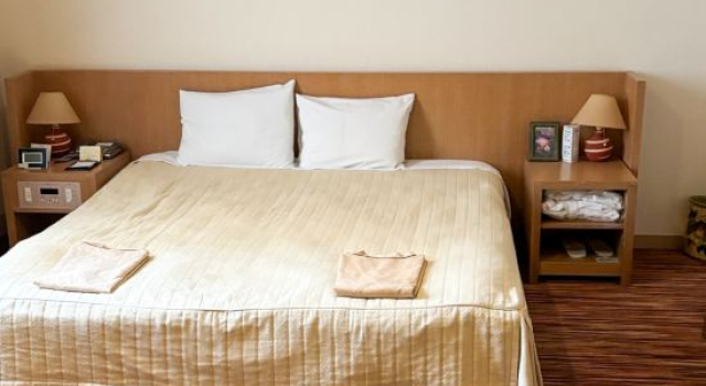 Номер Deluxe HOTEL LiVEMAX Numata GRANDE
