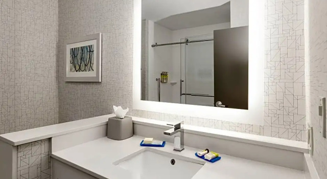 Люкс Standard Holiday Inn Express & Suites Dallas NW - Farmers Branch by IHG