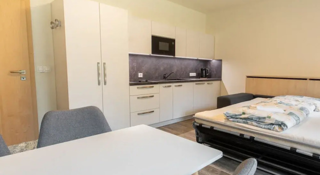 Студия Wellness Hotel Říčky