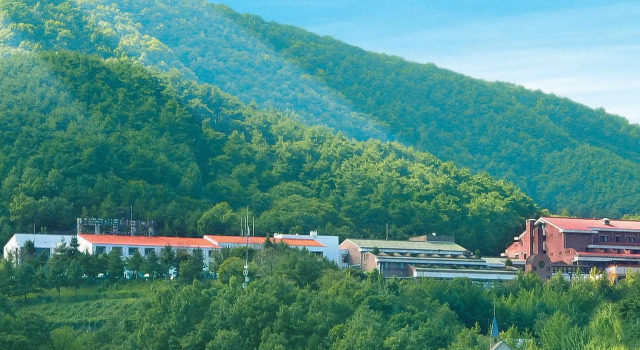 Двухместный номер Standard с видом на горы Chungju Suanbo Park Hotel