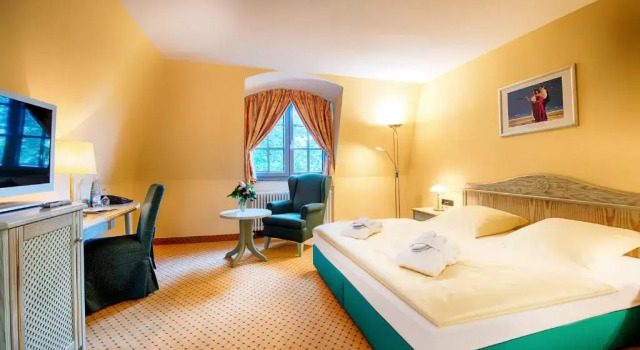 Двухместный номер Economy Hotel Villa Heine Wellness & Spa