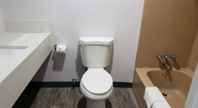 Двухместный номер Deluxe Regal Inn