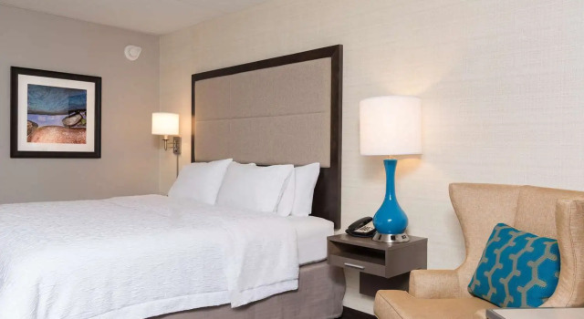 Deluxe værelse Hampton Inn Bloomington