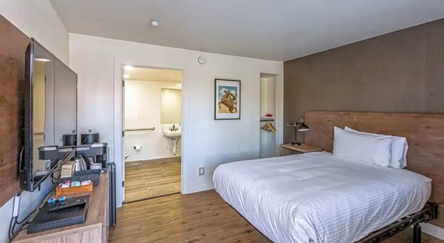 Студия The Catrina Hotel