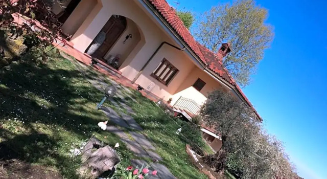 Il giardino degli ulivi