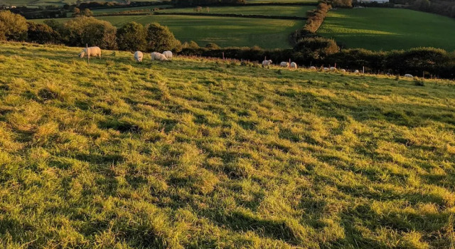 Номер Standard Immaculate Bell Tent Retreat North Devon