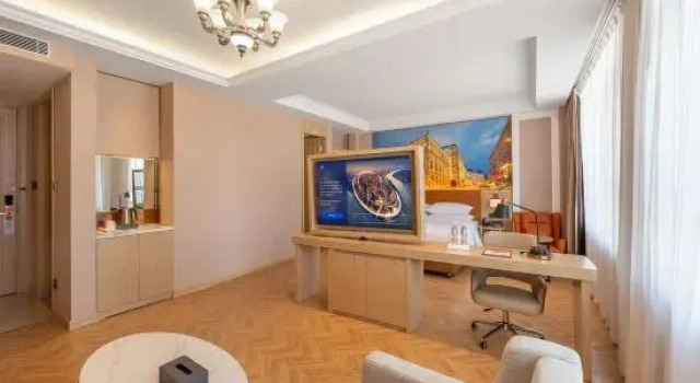 Люкс Deluxe Vienna Hotel (Bachu Century Avenue Store)