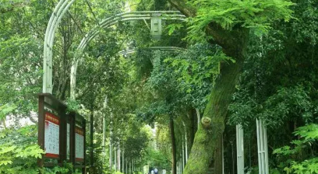 Jiuer Homestay
