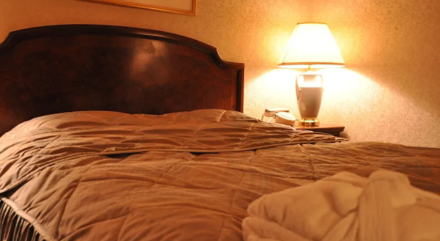 Двухместный номер Deluxe Palace Inn Toyota
