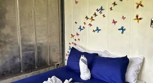 Номер Standard Capsule Pupa House
