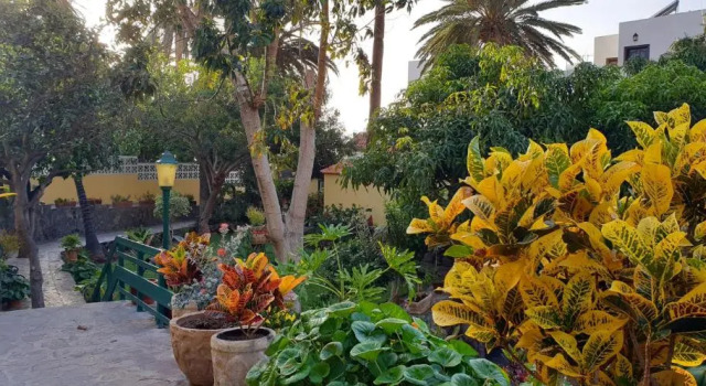 Finca Borbolan y La Roseta, Book Hotel Hotels in La Gomera with a Pool, Swimming Pool