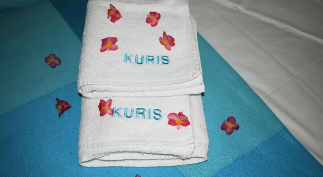 Студия Апартаменты Kuris