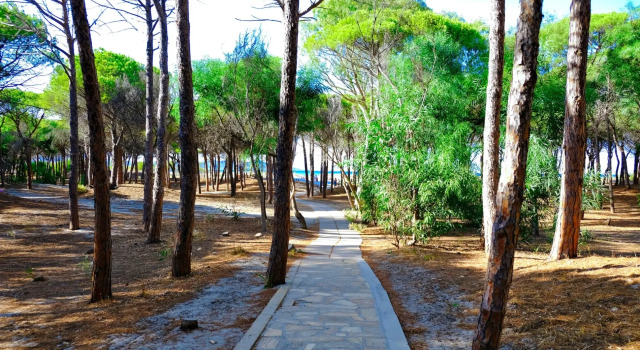 Selema Camping