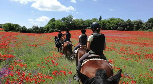 Agriturismo San Filippo, Buchen Sie Ferienhaus Acquapendente Tuszien