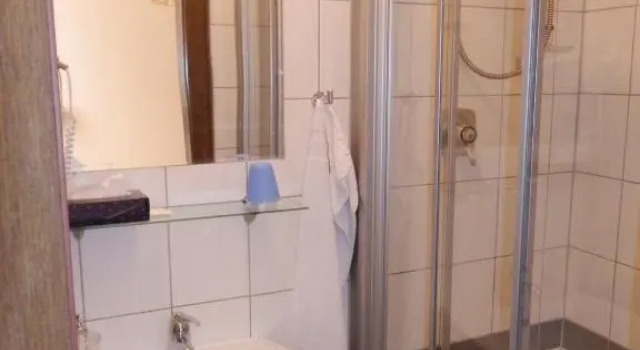 Номер Standard Hotel Rheinischer Hof