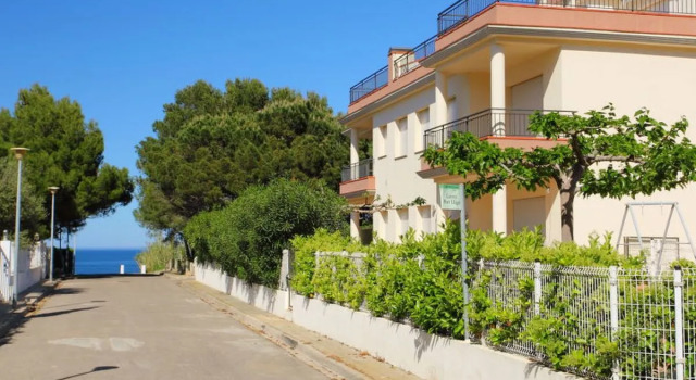 Barlovento 19382