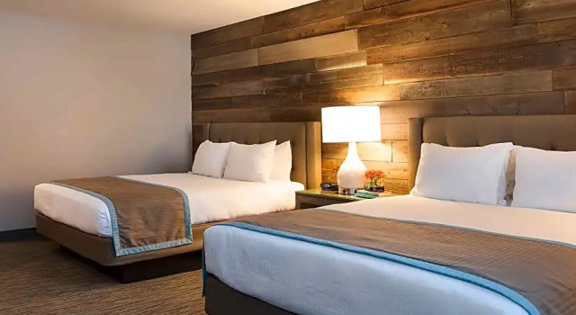 Четырёхместный номер Hotel Azure