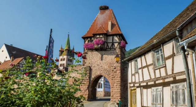 Appartement Spacieux Dans Joli Village Alsacien, Book Apartment Hotels in Alsace with a Pool, Swimming Pool