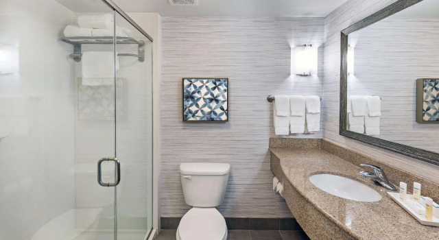 Двухместный номер Standard Hilton Garden Inn Aiken