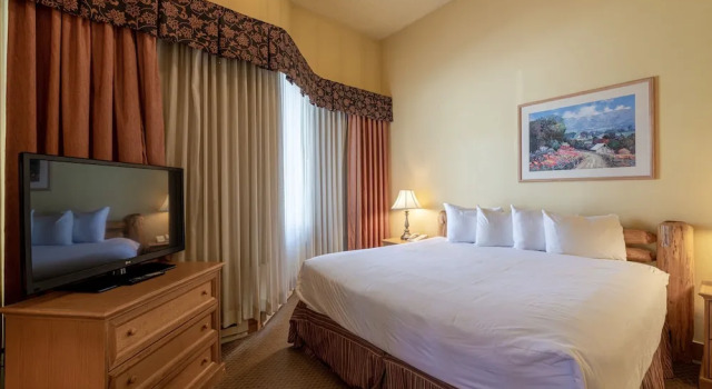 Cozy Pet-friendly King Studio In Mt. Crested Butte Condo - No Cleaning Fee! by RedAwning