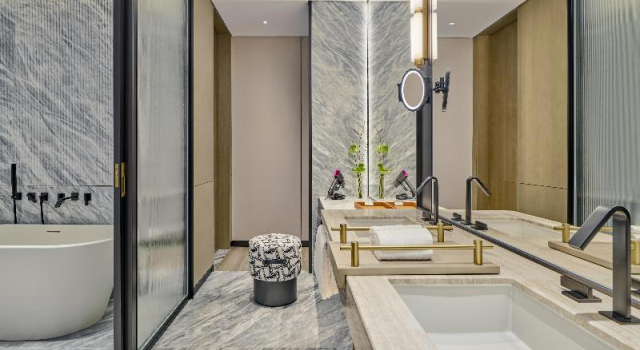 Люкс Hilton Shanghai Zhangjiang Science City