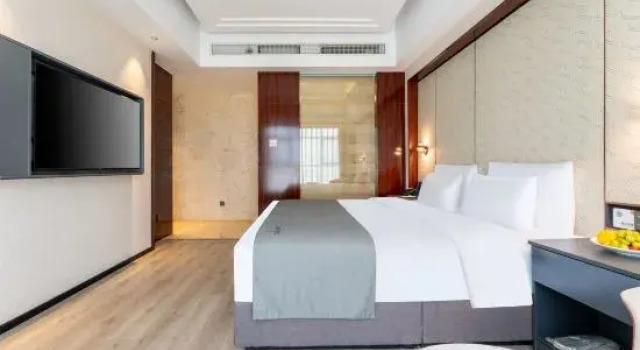Люкс Luxury Leisden hotel