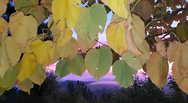 Номер Standard с балконом Hotel Panoramic Montepulciano