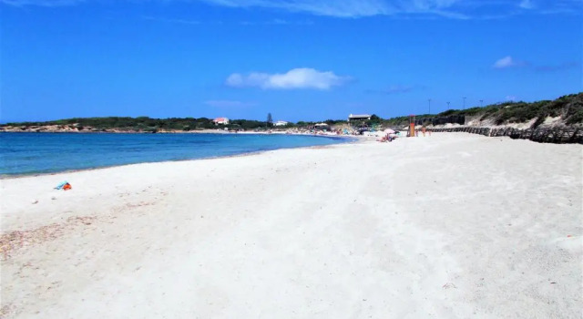 Коттедж с 2 комнатами Pineta Spiaggia Grande 2