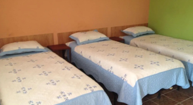 Wolf Hostel, Book Hostel / Vandrerhjem Hostels i La Paz Region, Hostel / Vandrerhjem
