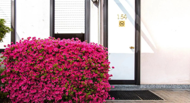 Airport Hotel Motel Malpensa