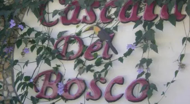Cascata Del Bosco