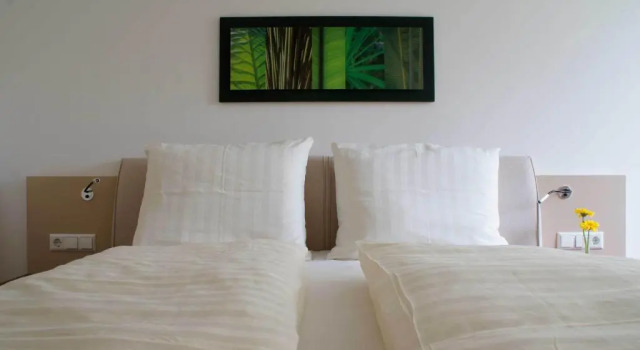 Двухместный номер Standard Hotel Rebstöckle