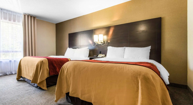 Четырёхместный номер Standard Comfort Inn