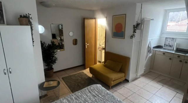 Apartamento Lausanne, Забронировать Апартаменты/квартира Апартаменты Лозанны, Апартаменты/квартира