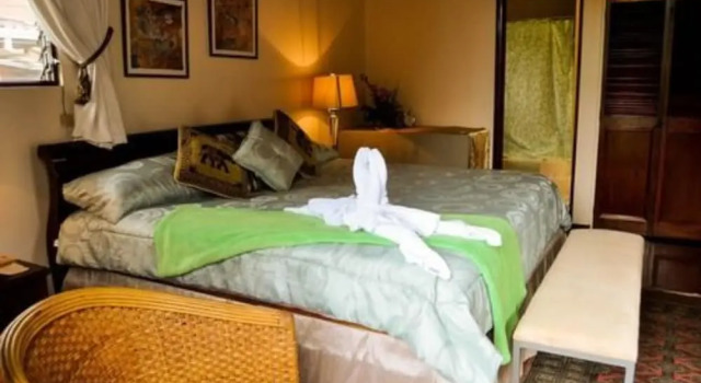 Двухместный люкс Cariari Bed & Breakfast