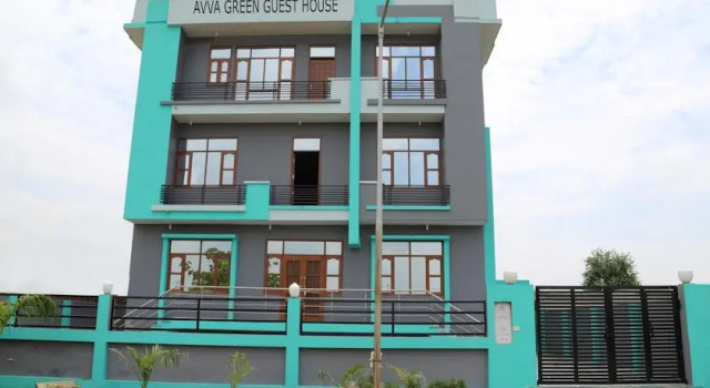 Avva Green
