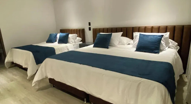 Monarch Campestre