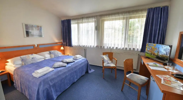 Standardní Dvoulůžkový s manželskou postelí pokoj EA Hotel Populus