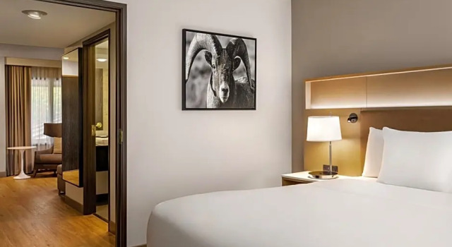 Двухместный люкс c 1 комнатой Radisson Hotel Colorado Springs Airport