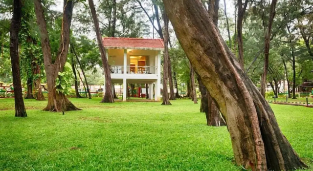 Люкс Deluxe Vgp Golden Beach Resort