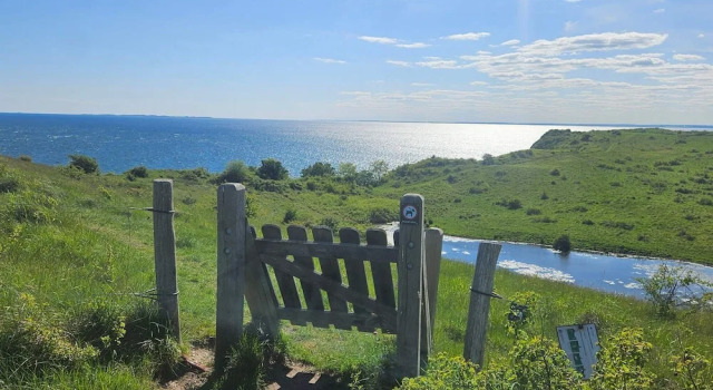 5 Star Holiday Home in Vejby, Book Vacation Home Hotels in Zealand with a Pool, Swimming Pool