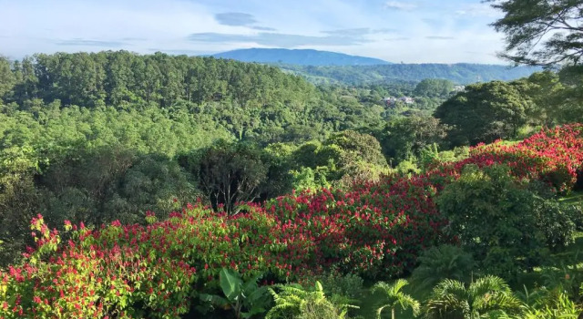 Номер Standard Hotel Vista Linda Montaña