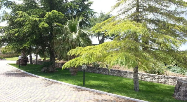 Номер Standard Villa Genny
