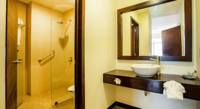 Номер Deluxe с видом на бассейн Blaze Hotel & Suite Vallarta