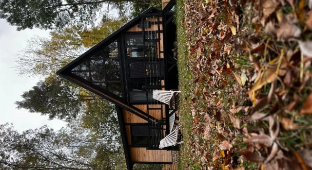 Апартаменты Classic Pentalow Cabin