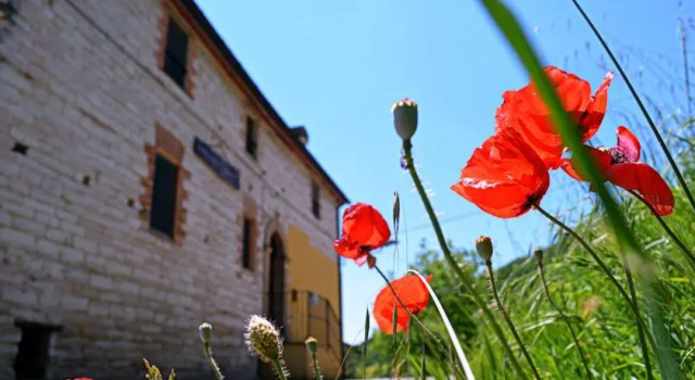 Casa Vacanza Serrabernacchia, Rezervovat Hotel  