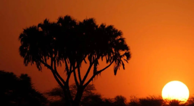 Sarova Shaba Game Lodge, Rezervasyon Otel Shaba otoparklı oteller, Otopark