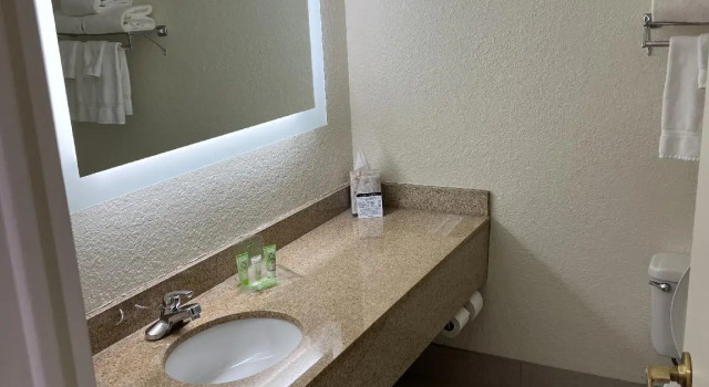 Двухместный номер Standard Wyndham Flint MI Grand Blanc Bishop Airport Conference Ct