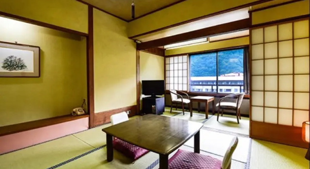 Camera Standard Hirayukan